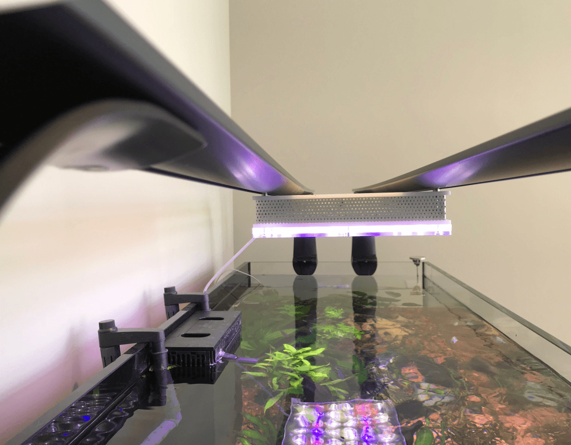 best planted aquarium led lighting 2020