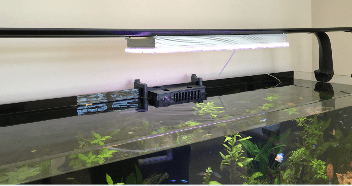 freshwater aquarium led lighting