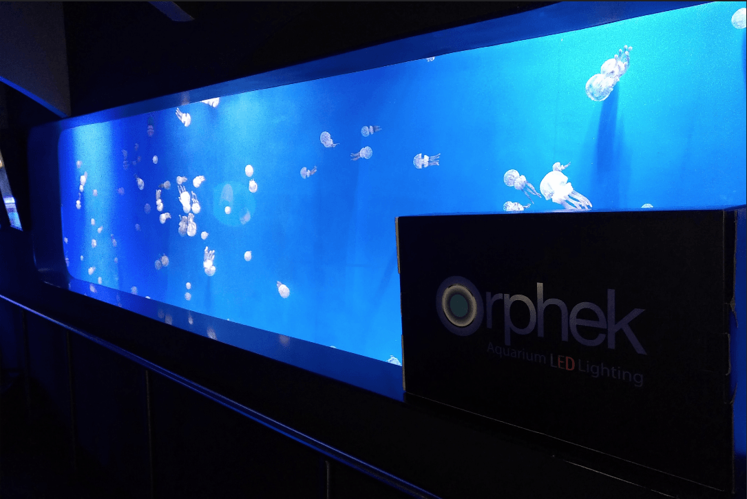 meilleur éclairage public d'aquarium LED