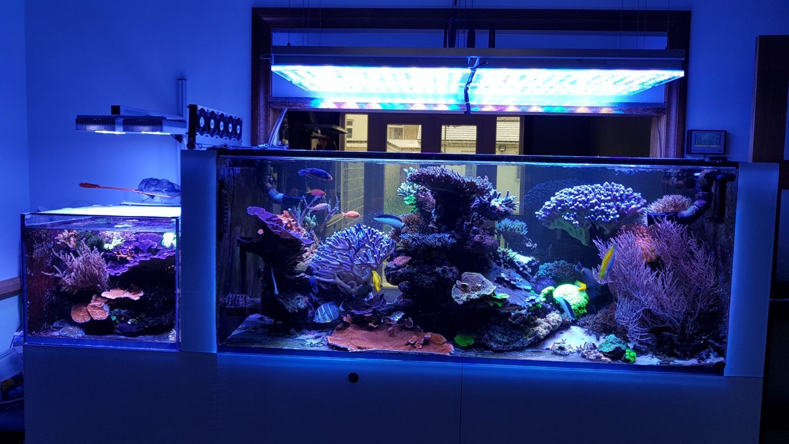 2020 best LED lighting reef aquarium