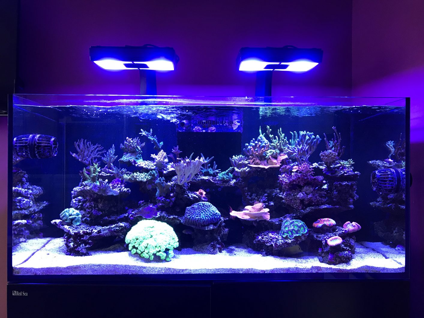 top reef tank LED lighting