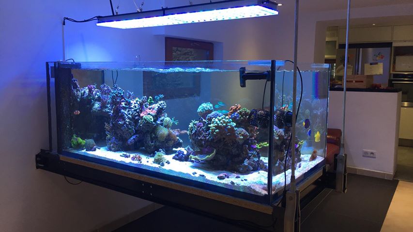 reef aquarium best LED lights