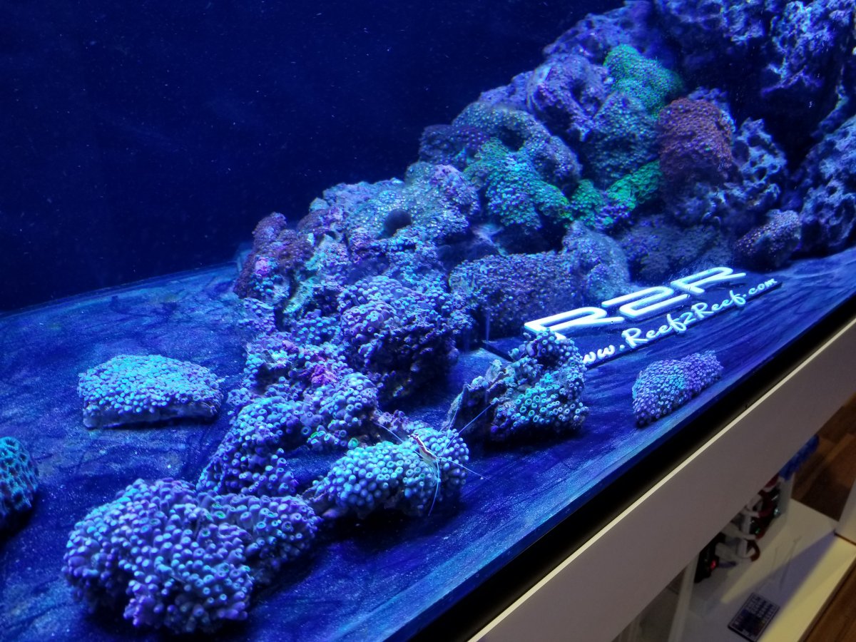 orphek best aquarium lighting 2020