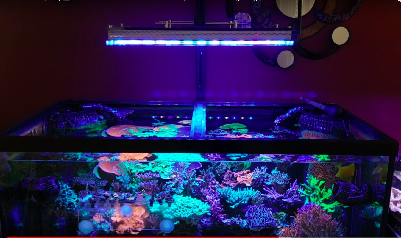 atlantik v4 tangki terumbu terbaik LED