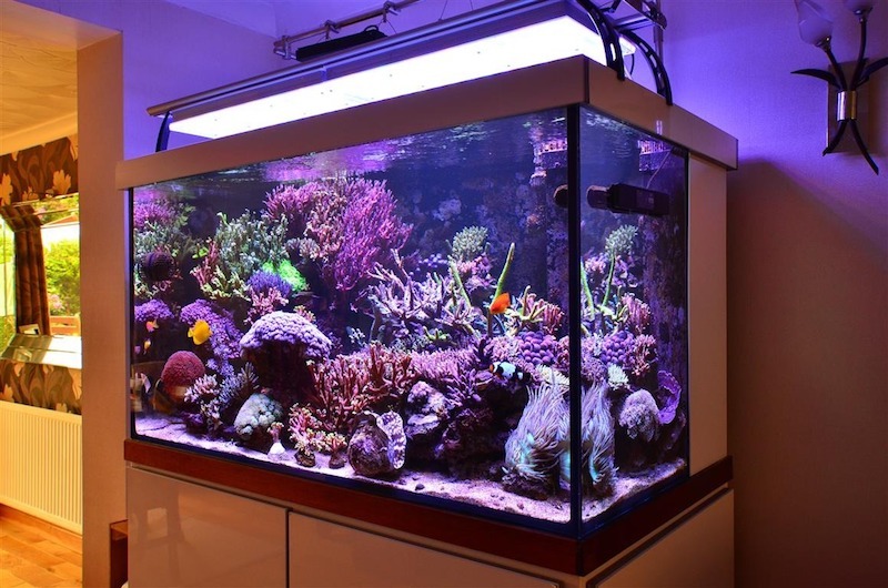 top quality aquarium lighting 2020