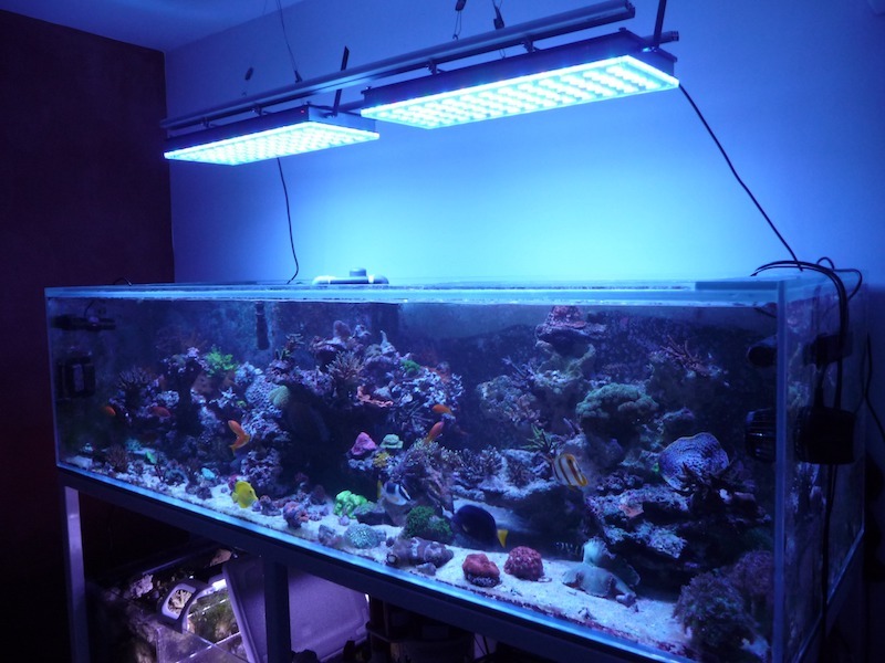 2020 beste Tiefwasseraquariumbeleuchtung