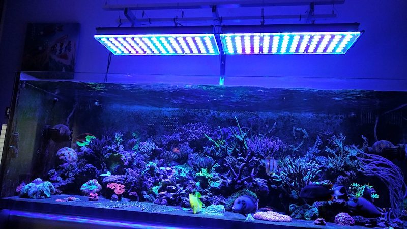 Reef tank LED belysning 2020