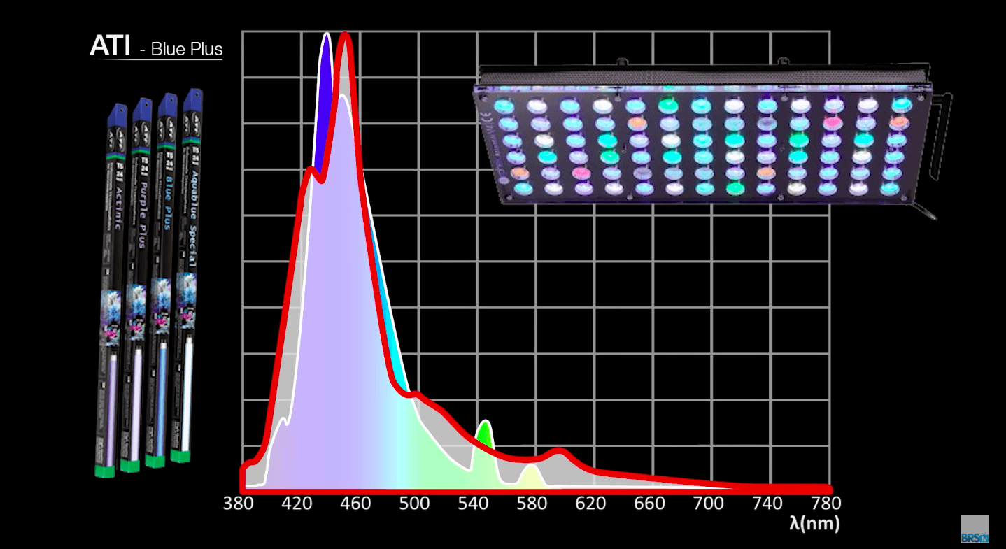 best reef tank led light