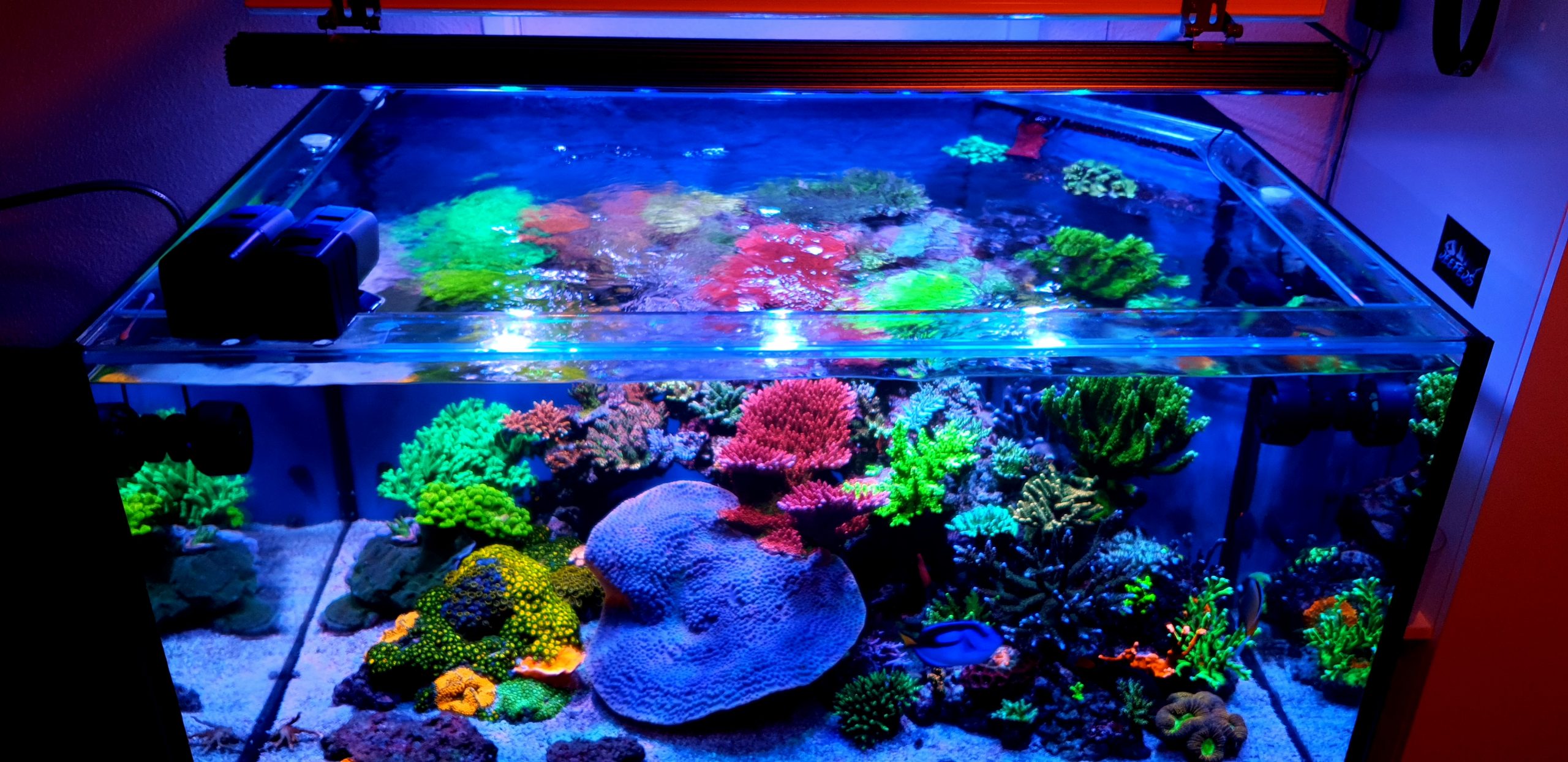 OR3 Blue Plus Reef Aquarium LED Showcase•Orphek