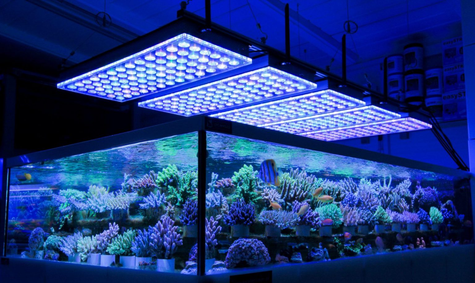 Led Light for Aquarium