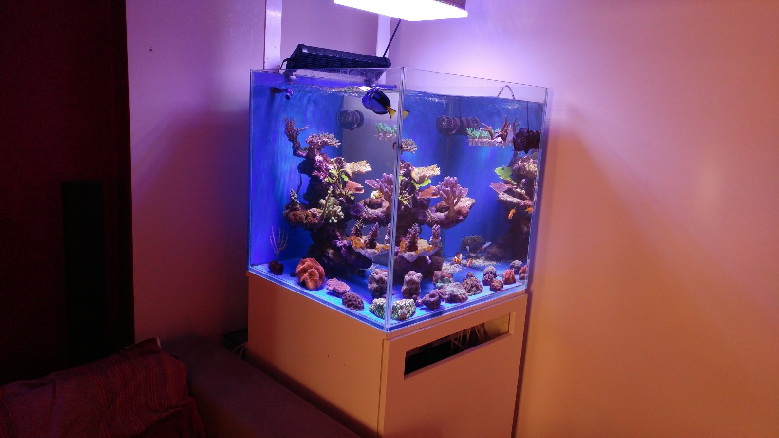 reef saltwater tank lights