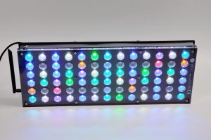 German Store Displays Beautiful Coral Atlantik V4 LED Lighting •Orphek