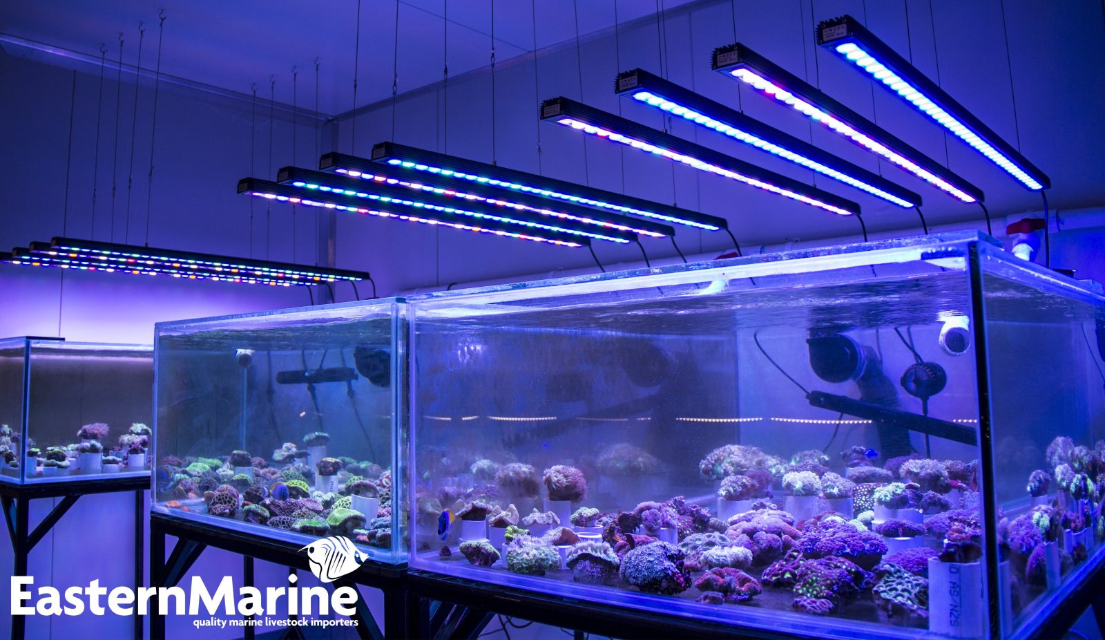 bedste reef tank led strip 2020