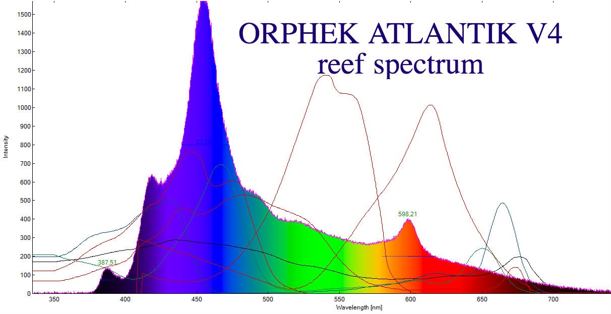 best reef tank light spectrum