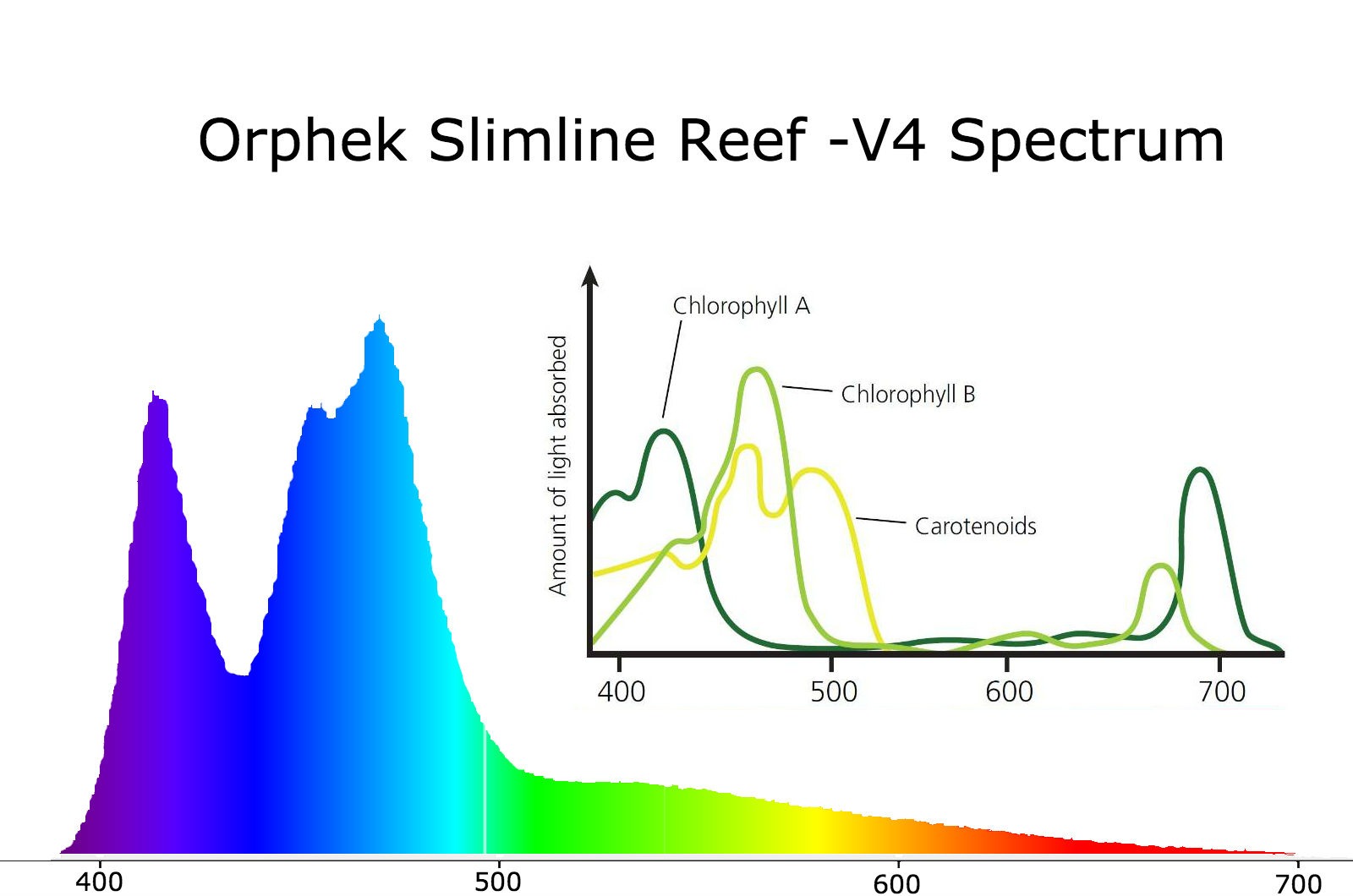 spectre LED atlantik v4