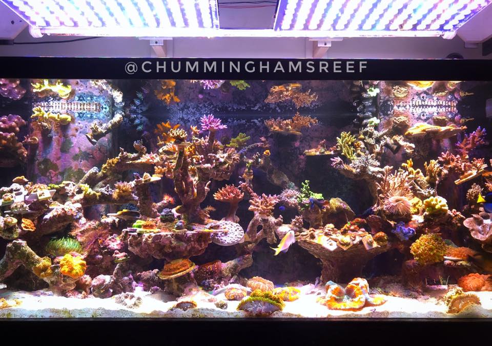 highest quality aquarium led lighting