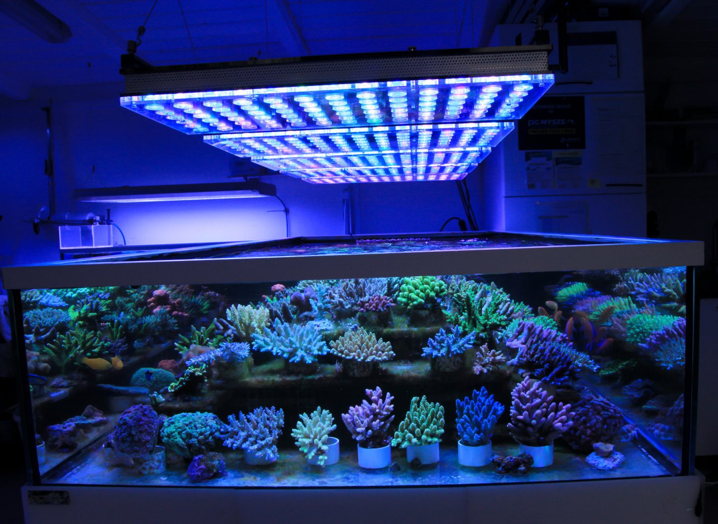 haut lumières d'aquarium orphek