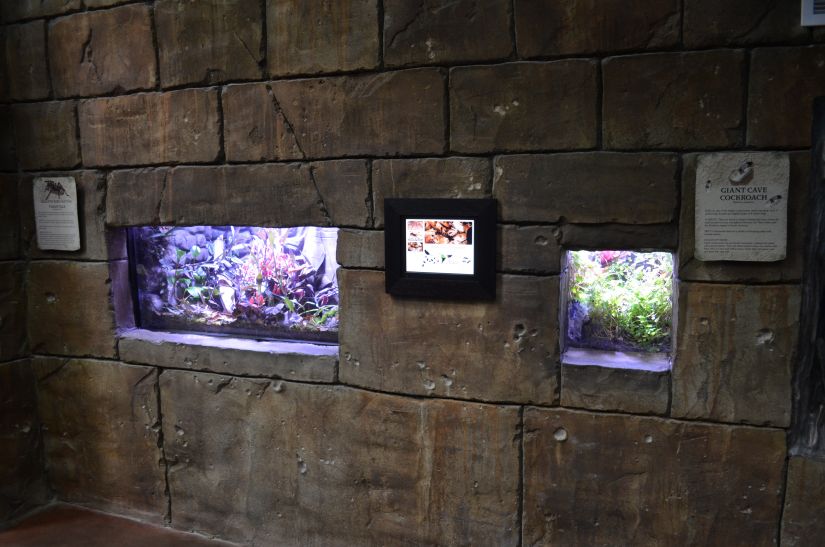 Loveland Living Planet Aquarium Orphek LED-valot