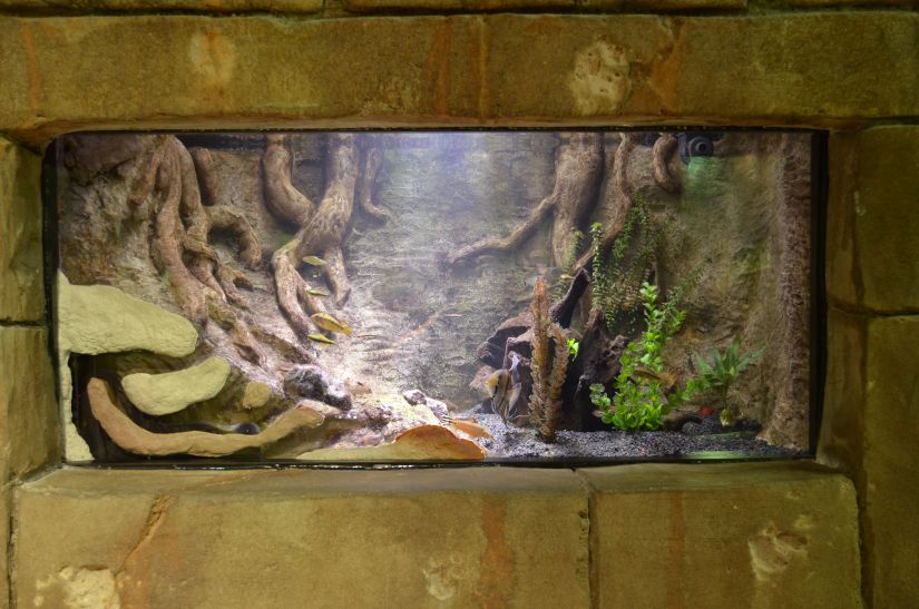 plantet ferskvand akvarium lys orphek