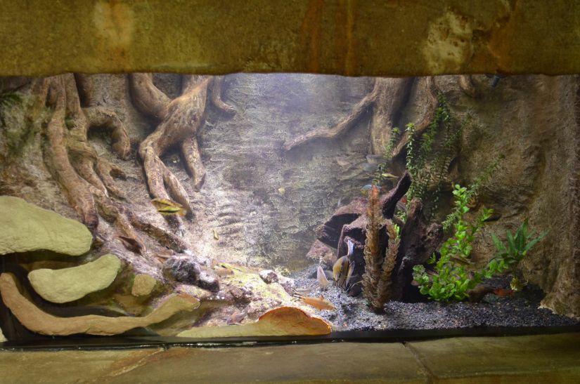 publiczne oświetlenie akwarium w zoo orphek