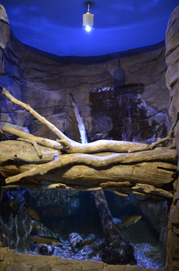 Loveland Living Planet Aquarium akvarium LEDs
