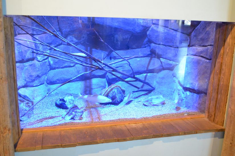 LED osvětlení akvária ryb Orphek