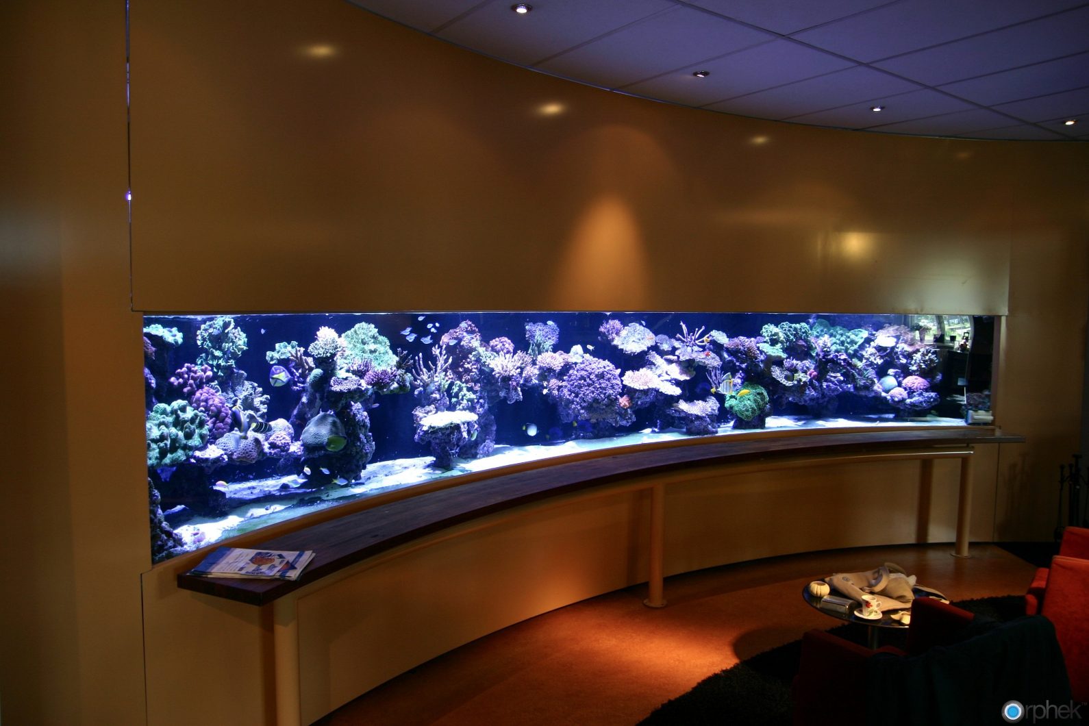 удивительный риф аквариум