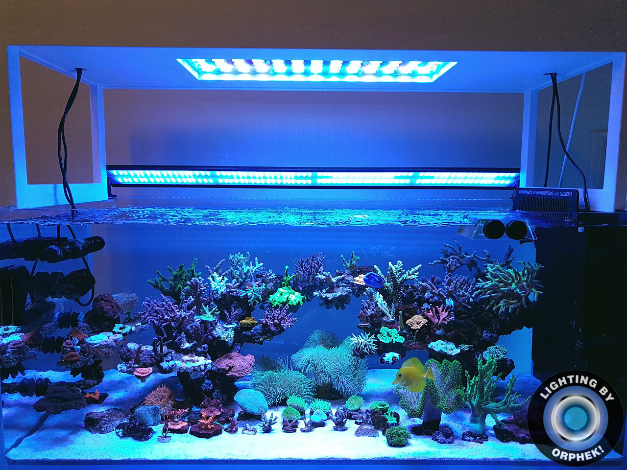 2020-bestes-aquarium-light-orphek-atlantik