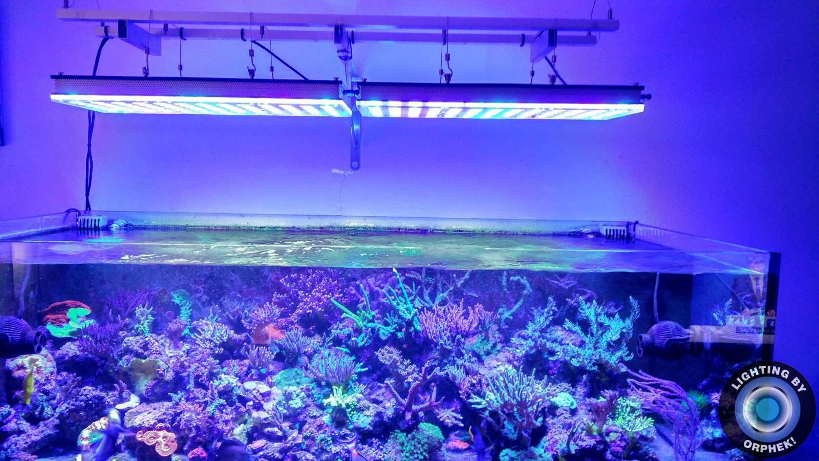 atlantik v4 best Reef tank LED light 2020