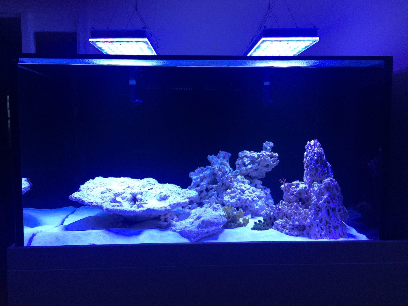 best aquarium reef LEDs