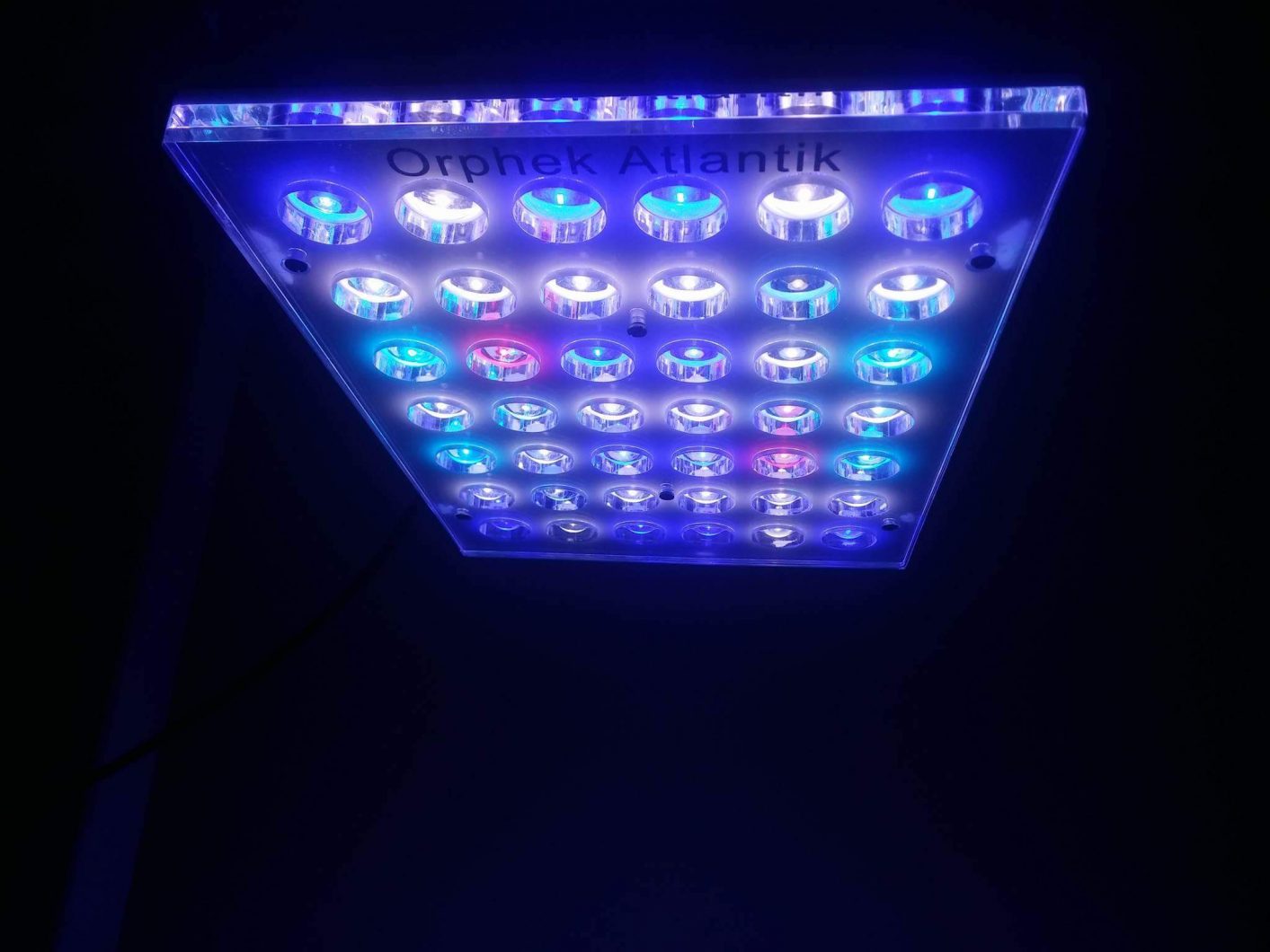 LED compacto orphek atlantik