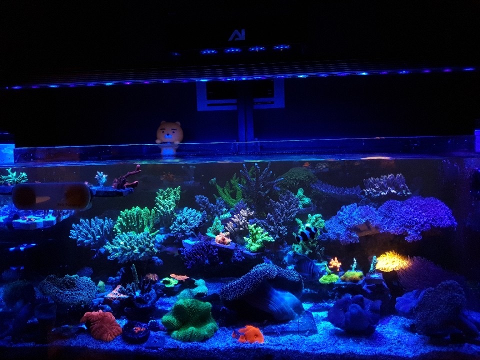 rif aquarium led-verlichting or3