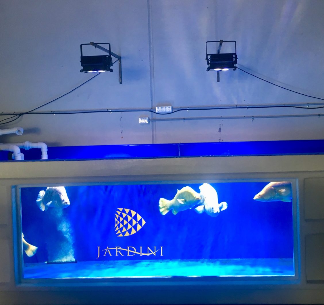 aquarium sterkste verlichting