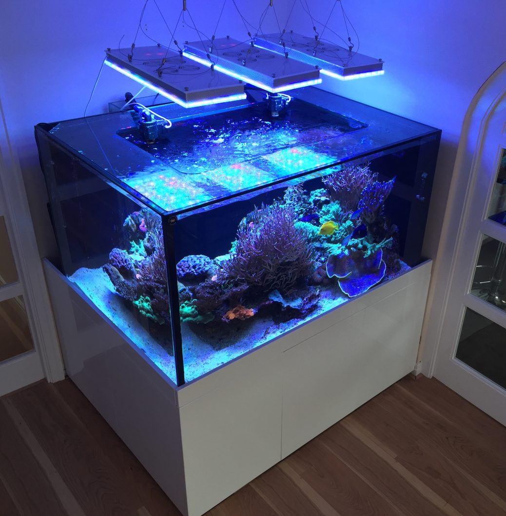 2020 atlantik beste Aquarium LED