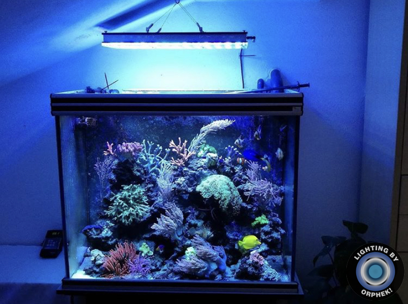 красивые цвета освещения аквариума
