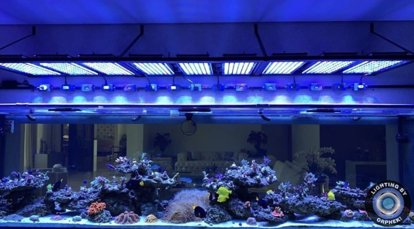 public reef tank LED lights