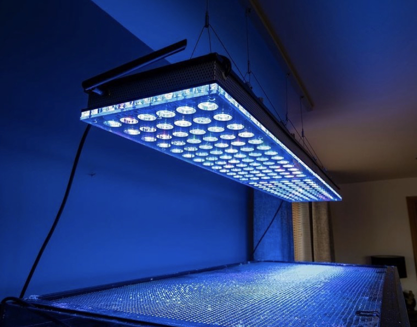 το καλύτερο ενυδρείο LED ορφανού atlantik