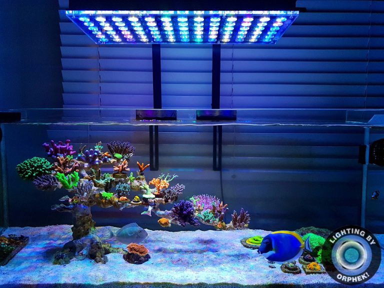 Orphek Reefscaping Showcases Beautiful tanks