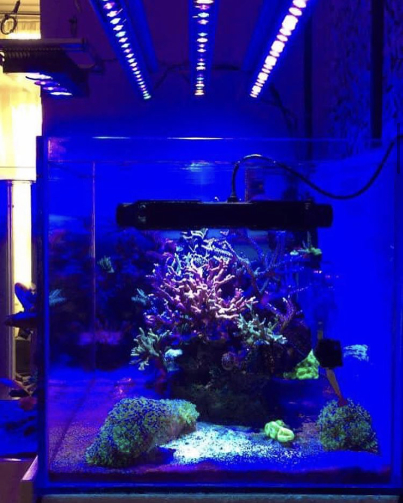 лучший светодиодный бар для аквариума 2020