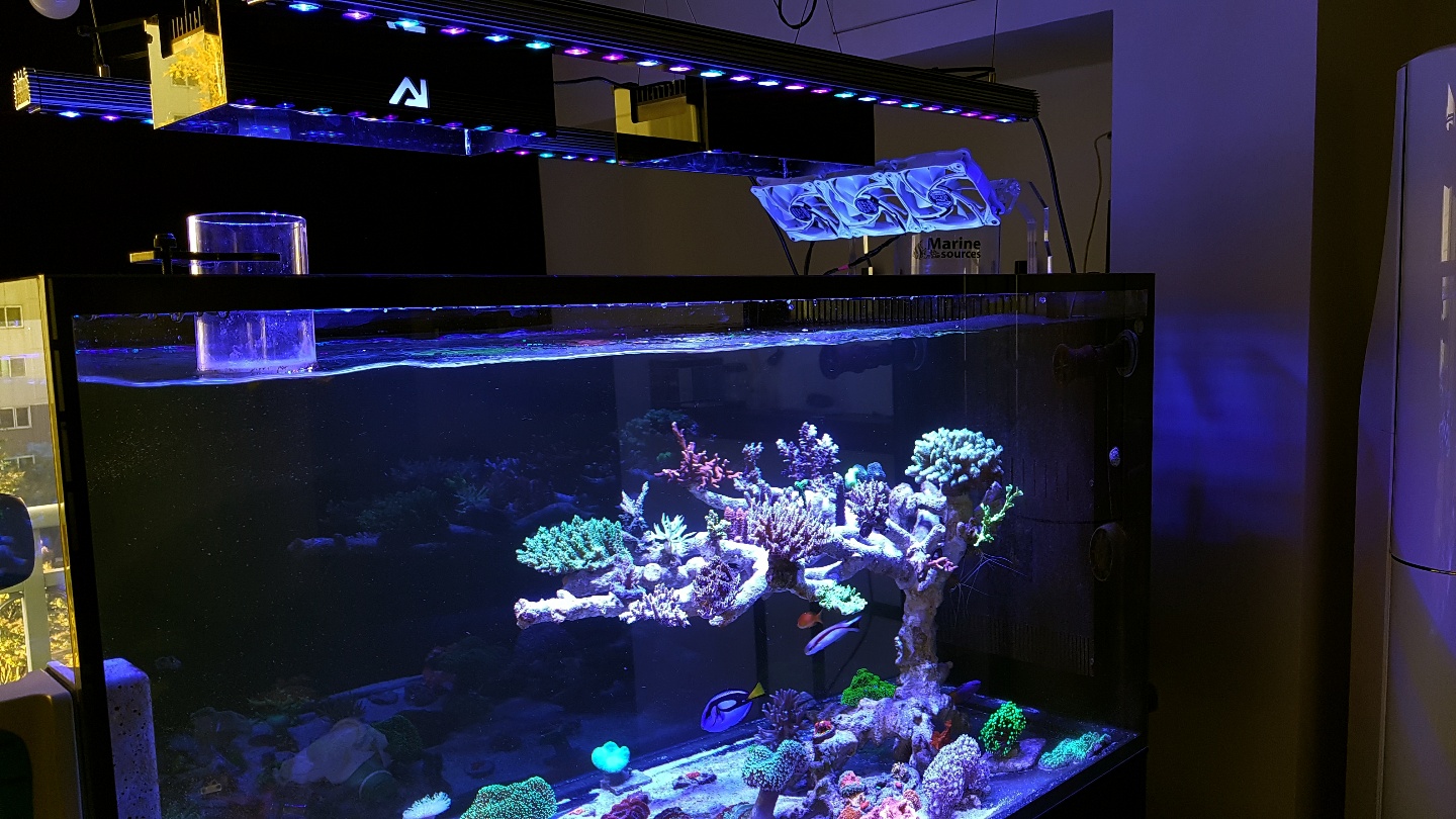 2020-beste-aquarium-light-orphek-atlantik