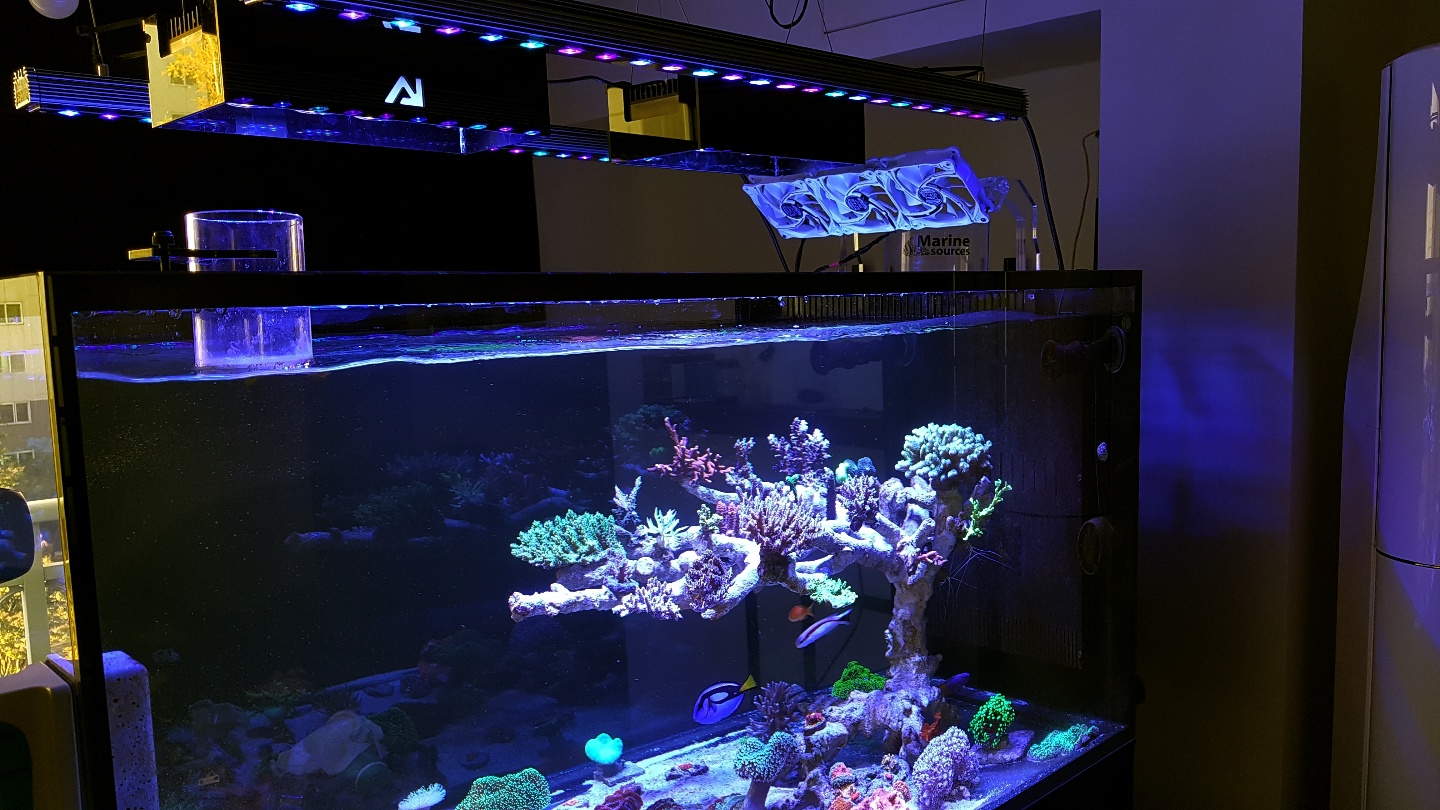 2020-Best-Aquarium-Light-Orphek-Atlantik