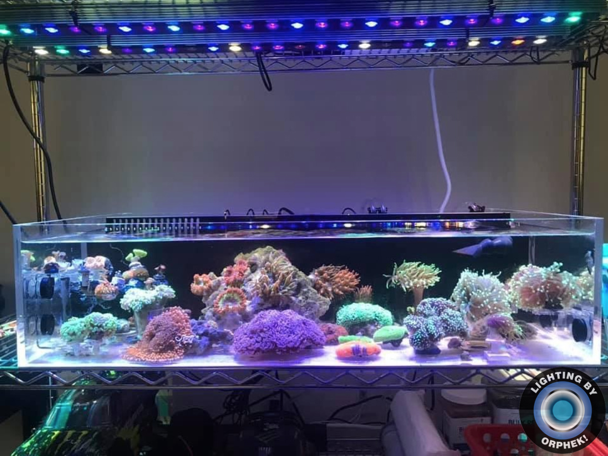 2020 hochwertige Aquarium LED-Streifen
