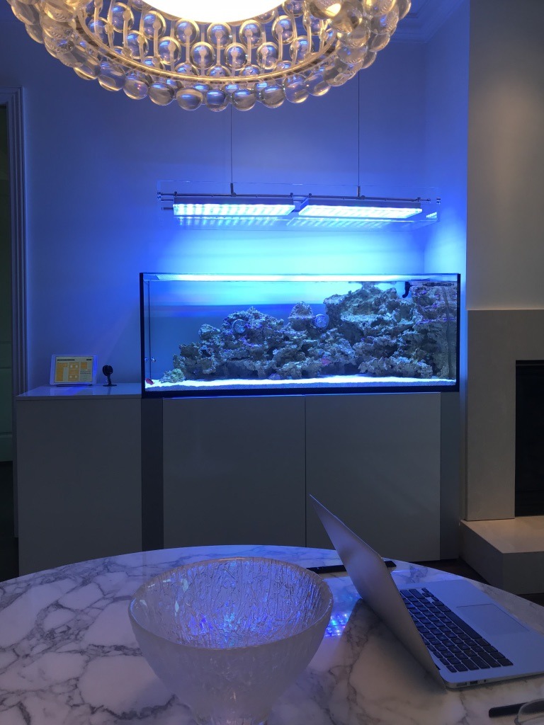 high end reef tank led belysning