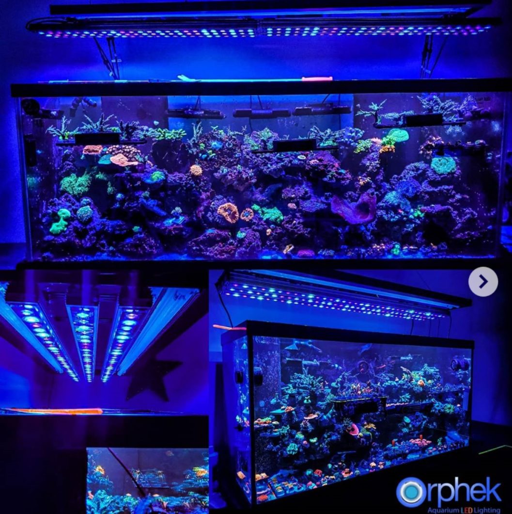 OR3 LED reef barer galleri