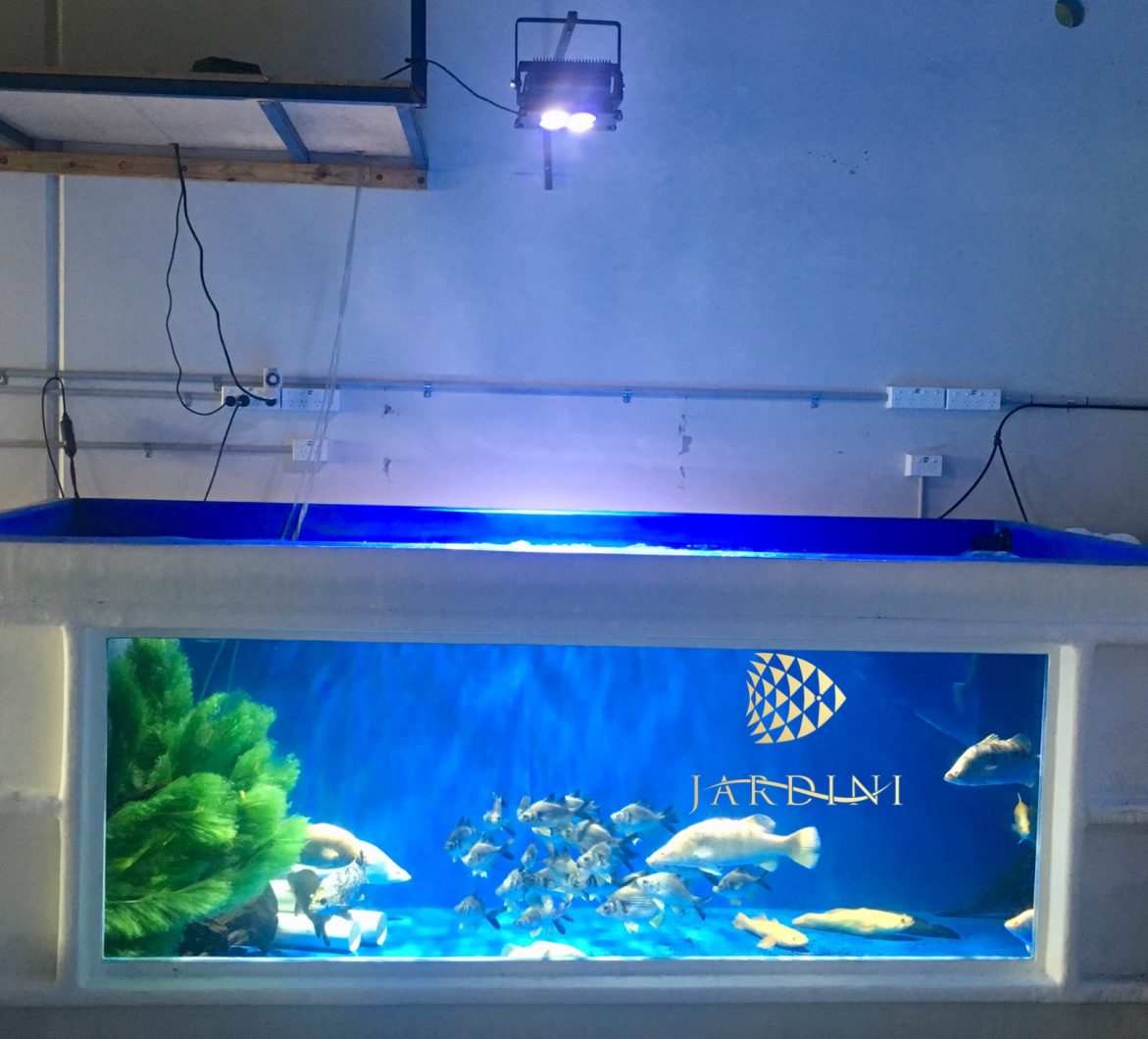 best public tank LED light