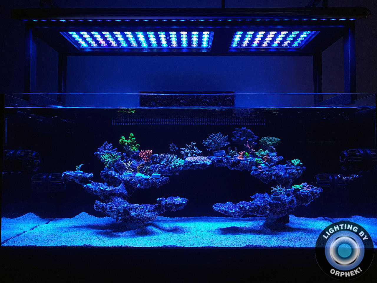 Orphek-Riff-Aquarium-LED-Beleuchtung