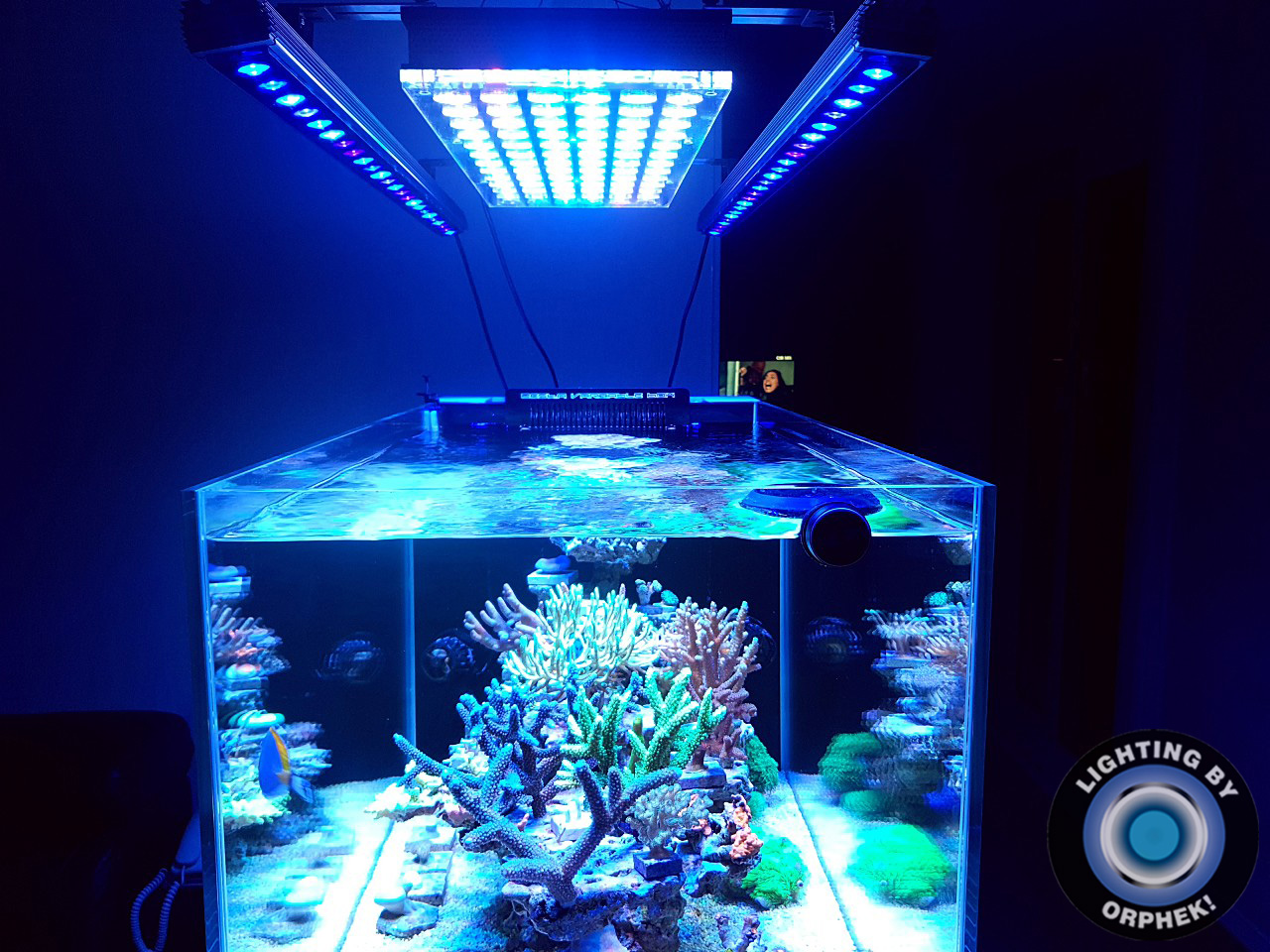 Orphek-reef-acquarium-LED-light-OR3-Atlantik