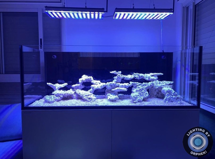 أفضل ضوء الشعاب المرجانية أدى ضوء orphek atlantik