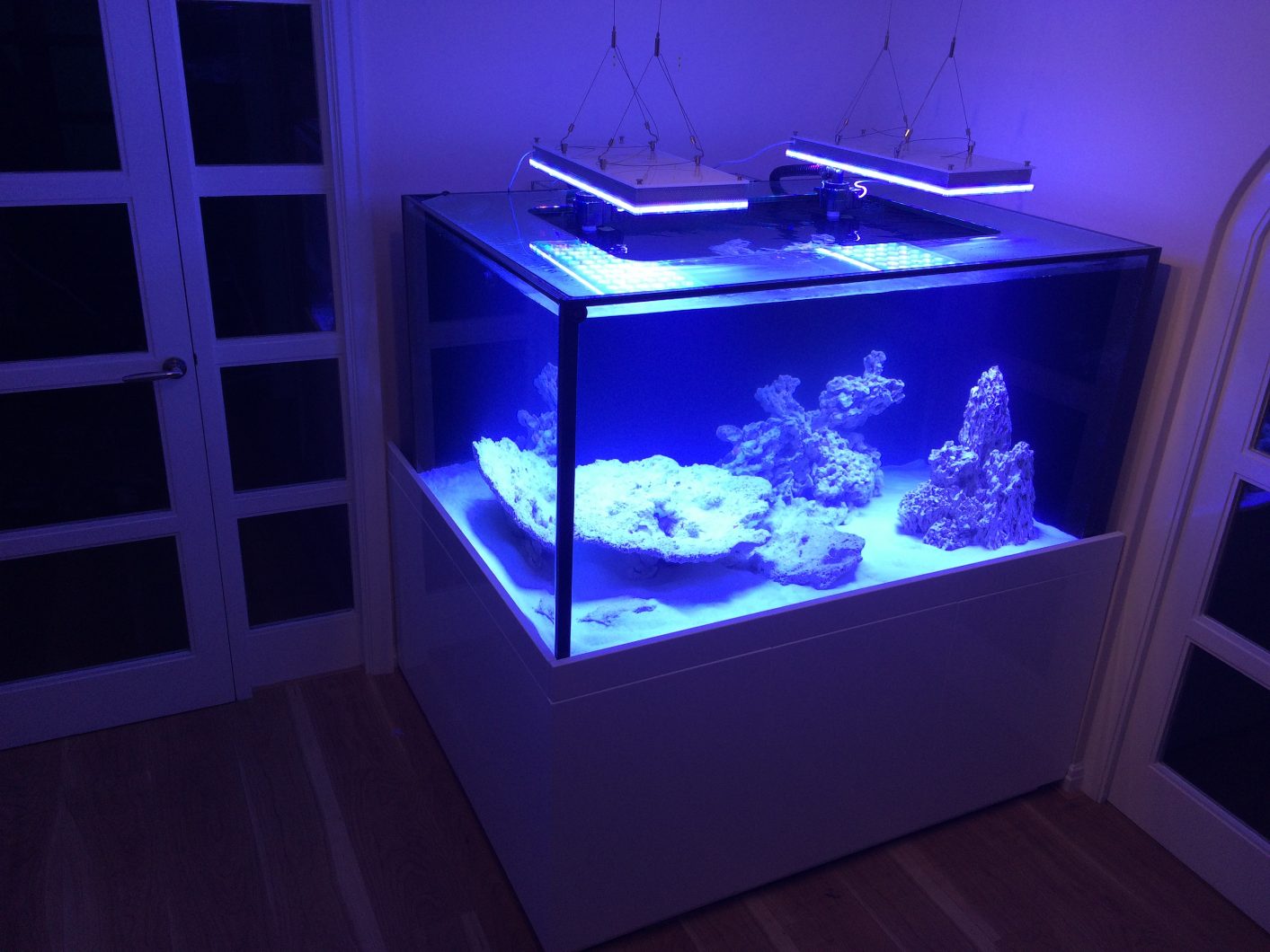 reef aquarium coral pop LED lighting