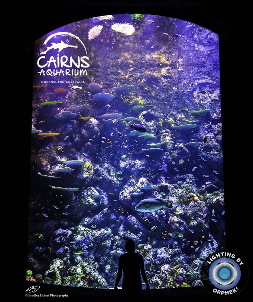 лучший публичный аквариум светодиодное освещение orphek